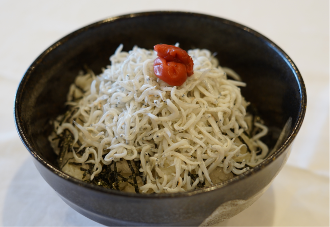 紀州辰ヶ浜直送 しらす丼